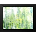 thumbnail image 2 of Ghanooni, Sarah 24x19 Black Modern Framed Museum Art Print Titled - Growth, 2 of 5