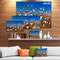 thumbnail image 3 of Blooming Alabama Cotton Field - Large Landscape Canvas Art, 3 of 4