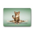 thumbnail image 1 of RYLABLUE Tapis de Sol Yoga Chat Tapis de Sol Extérieur/intérieur Taille 23.6x15.7 Pouces, 1 of 1