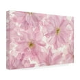 thumbnail image 4 of Trademark Fine Art 'Pink Cherry Blossom' Canvas Art by Cora Niele, 4 of 4