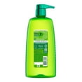 thumbnail image 3 of Garnier Fructis, Sleek & Shine Fortifying Shampoo, 3 of 9