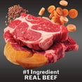 thumbnail image 4 of (4 pack) Pure Balance Wild & Free Air Dried Dog Food Beef Recipe, 2 lb, 4 of 11