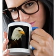 thumbnail image 2 of 3drose, Usa, Alaska. Regal Bald Eagle Portrait., 11oz Two-tone Blue Mug, 2 of 6