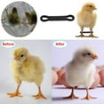 thumbnail image 6 of Jesscasday 50/100Pcs Chick Spreader Leg Hobble for Baby Chicken Adjustable Poultry Leg Bands for Chicks Birds Quails Ducks, 6 of 8