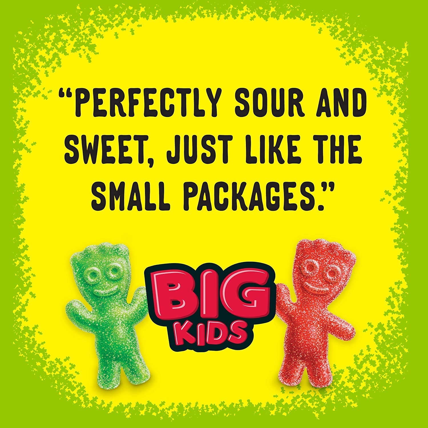 SOUR PATCH KIDS Big Individually Wrapped Soft & Chewy Candy, Christmas Candy Stocking Stuffers, 240 Count Box+ E-Book "Awesome Science Experiments For Kids"