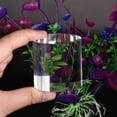 thumbnail image 4 of Unique Bargains 2 Inches x 2 Inches Clear Acrylic Solid Cylinder Round Display Riser, 4 of 4