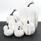 thumbnail image 4 of Calabaza artificial BuyWeek 7 piezas naranja blanco, 4 of 8