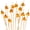 Orange, variant on BambooMN Decorative 5.9" Acrylic Gem End Bamboo Picks - Light Blue, 100 Pieces
