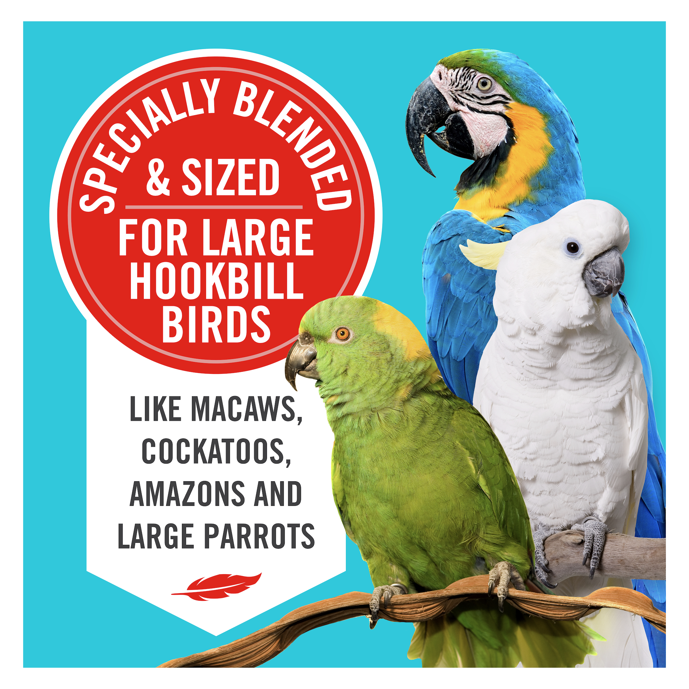 3-D Pet Products Natural Premium Parrot Food, with Fortified Pellets, 3 lbs