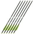 thumbnail image 7 of Bear X 6-Pack TrueX Crossbow Arrows - 20", 7 of 7