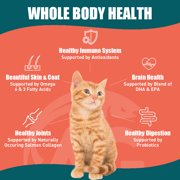 Alaskan Gold SUPER3+ (Salmon+Freeze Dried Raw Salmon+Salmon Oil) Dry Cat Food | Kitten & Adult | High-Protein | Grain-Free | Allergy & Digestive Support| All-Natural | 3-lbs