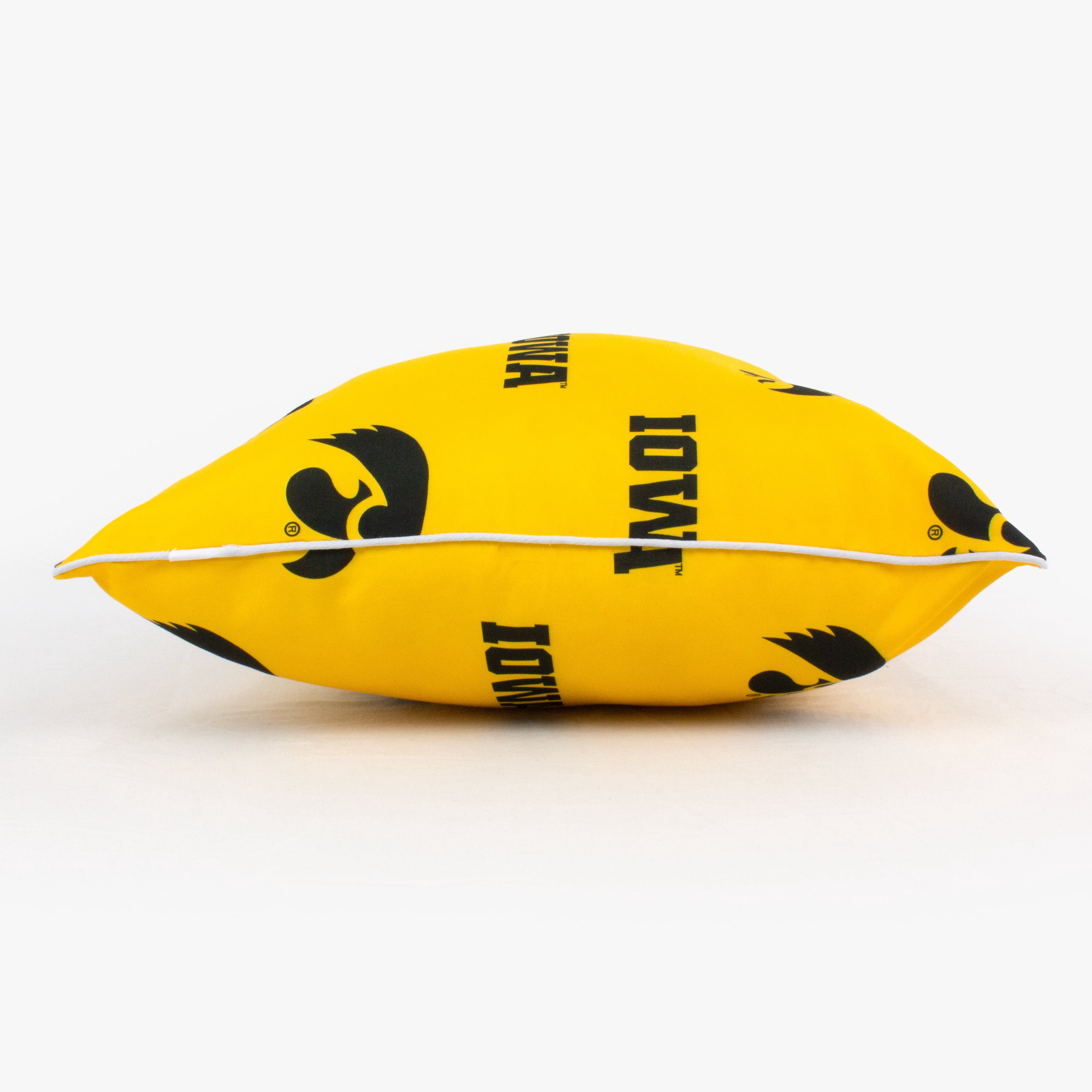 Iowa Hawkeyes 16" x 16" Decorative Pillow Pair