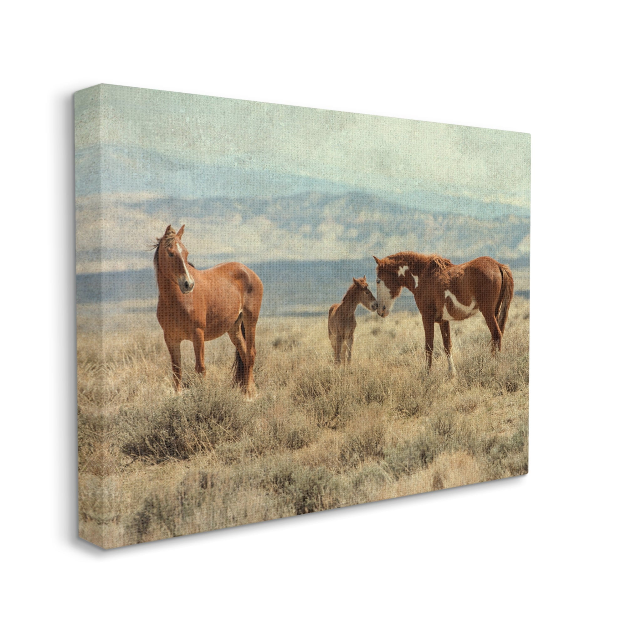 Stupell Industries Heartening Horse Foal Family Scenic Mountain Clouds Photograph Gallery Wrapped Canvas Print Wall Art, Design by Jan Walters