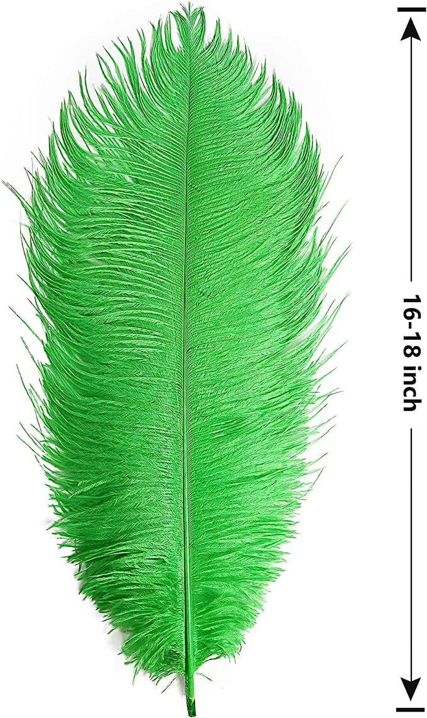 Nvzi 12pcs Green Ostrich Feathers Natural Bulk 16-18Inch 40cm-45cm for Wedding Party Centerpieces Easter Gatsby and Home Decorate Ostrich Feathers