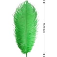 thumbnail image 2 of NAMZI 12pcs Green Bulk Natural Ostrich Feathers 16-18Inch (40cm-45cm), Perfect for Wedding, Party Centerpieces, Easter & Home Decoration, 2 of 4