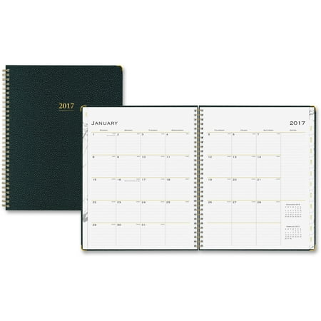 Blue Sky, BLS18925, Large Carrera Pebble Grain Planner, 1 Each, Multicolor