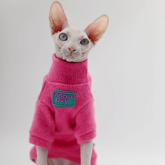 Vêtements pour Chat Sans Poils Doux et Chauds, Chandail à Capuchon pour Chat pour Sphynx, Devon Rex, Cornish, Peterbald