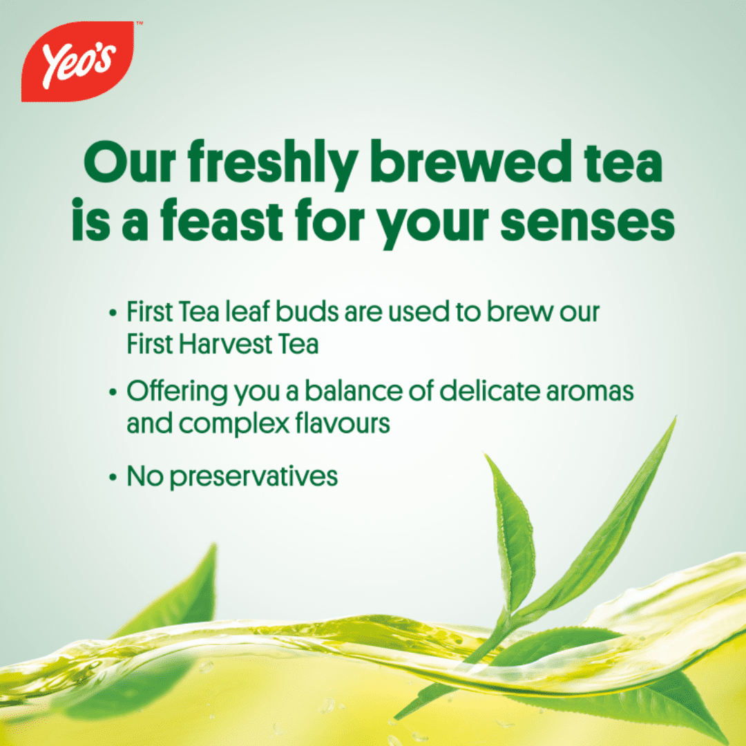 Yeo's First Harvest Green Tea 10.1 fl oz can Set of 24
