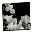 thumbnail image 2 of Gango Home Decor Flower Cluster 1 by Jim Christensen (Ready to Hang); One 24x24in Hand-Stretched Canvas, 2 of 4
