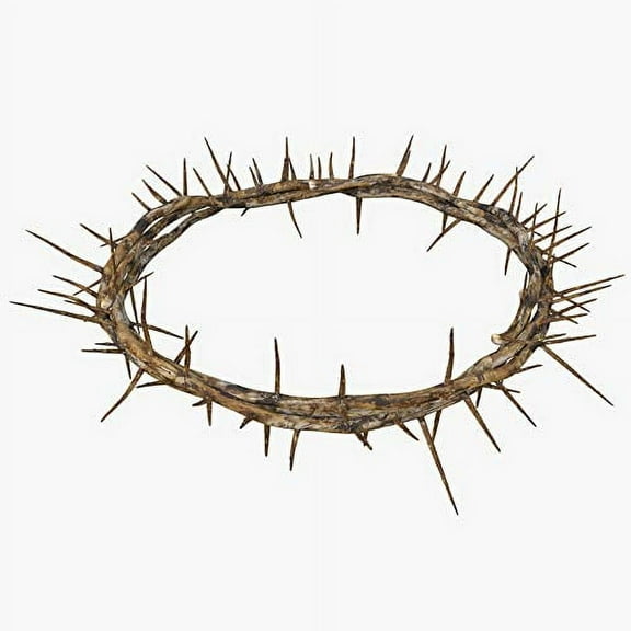 Holy Land Imports Authentic Crown of Thorns- Real Life Size