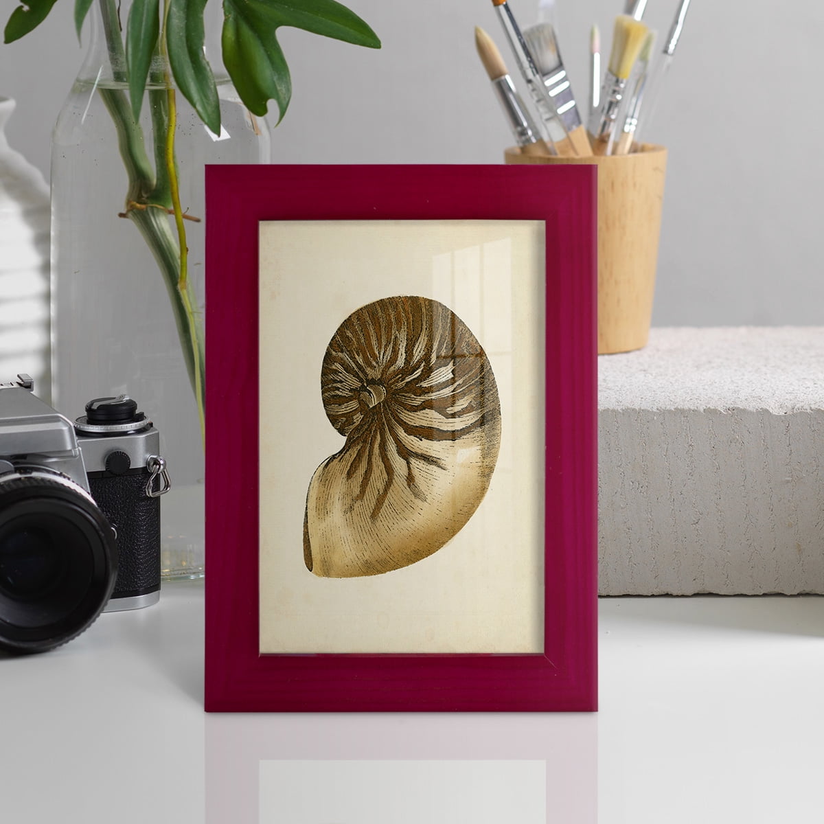 Sealife Collection V - Framed Print w/glass - Cherry Red