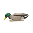 thumbnail image 2 of AVIAN-X Topflight Backwater Mallards Durable Ultra Realistic Floating Hunting Decoys, Pack of 6, AVX8070, 2 of 4