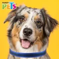 thumbnail image 4 of Correa Para Perro Ultra Grip Bandas Reflejantes Gde Colores Color Azul, 4 of 5