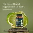 thumbnail image 3 of Gaia Herbs Sauerkraut Postbiotic - Gut Health & Immune Support Supplement* - Made with Fermented Sauerkraut - Free from Dairy, Soy & Gluten - 60 Vegan Liquid Phyto-Caps (30 Servings), 3 of 9