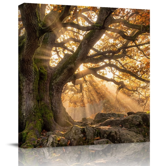 Wall Art Prints, Brown Trees Framed Canvas Prints for Bedroom Living Room Bathroom Office, Vintage Rustic Forest Nature Light Scenery Gallery Wrap Wall Art Poster for Gifts Home Decor 8"x8"