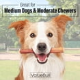 thumbnail image 2 of ValueBull Bully Sticks for Dogs, Medium 6 Inch, 50 Count, 2 of 7