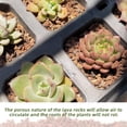thumbnail image 3 of NOGIS 0.77lb Red Lava Rocks for Plants, Volcanic Rock Horticultural Lava Rock Soil for Landscaping Plants Drainage, Small Lava Rock Gravel for Succulents, Bonsai, Vase Fillers, Terrarium Plants, 3 of 6