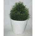 thumbnail image 2 of Jeco HD-BT009 7 in. Artificial Topiary Tree, 2 of 2