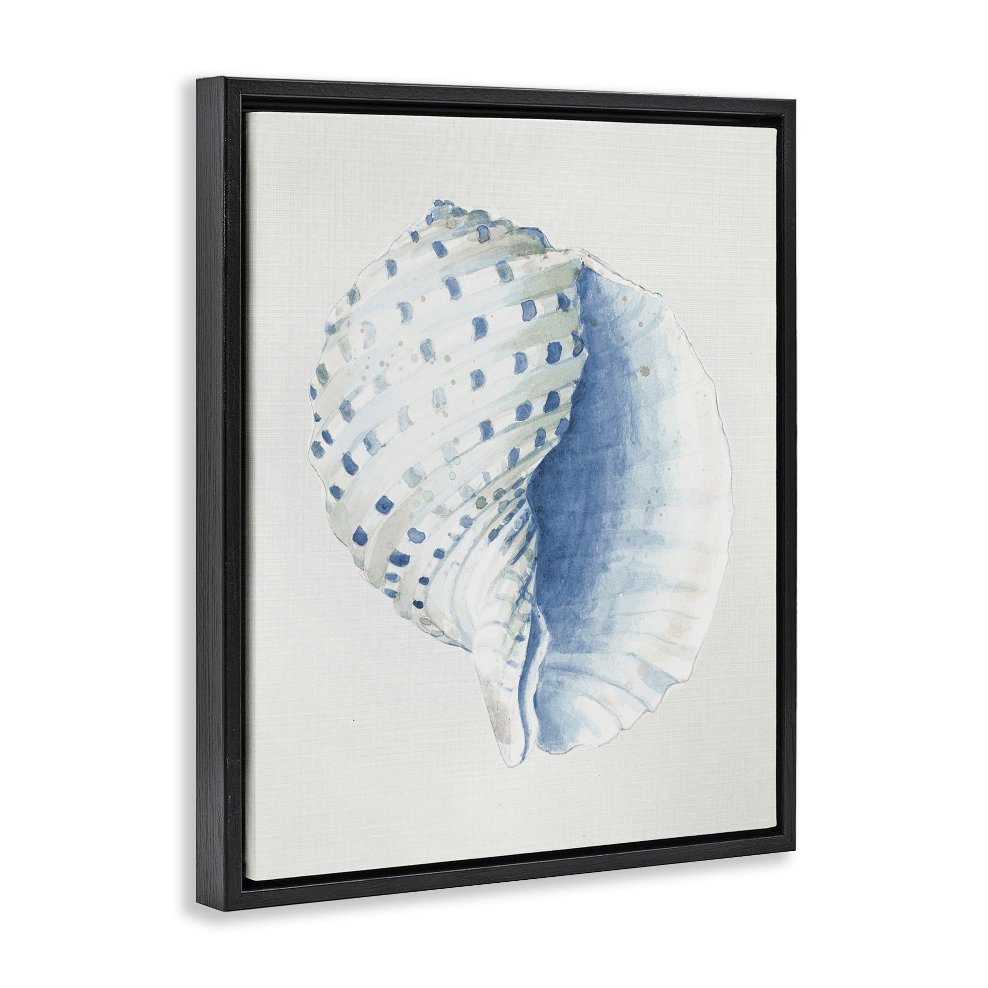 Stupell Industries Spotted Conch Shell Animals & Insects Painting Black Floater Framed Canvas Art Print Wall Art, 25 x 31