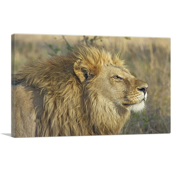 ARTCANVAS Lion In Savanah Home decor Canvas Art Print - Size: 12" x 8" (0.75" Deep)