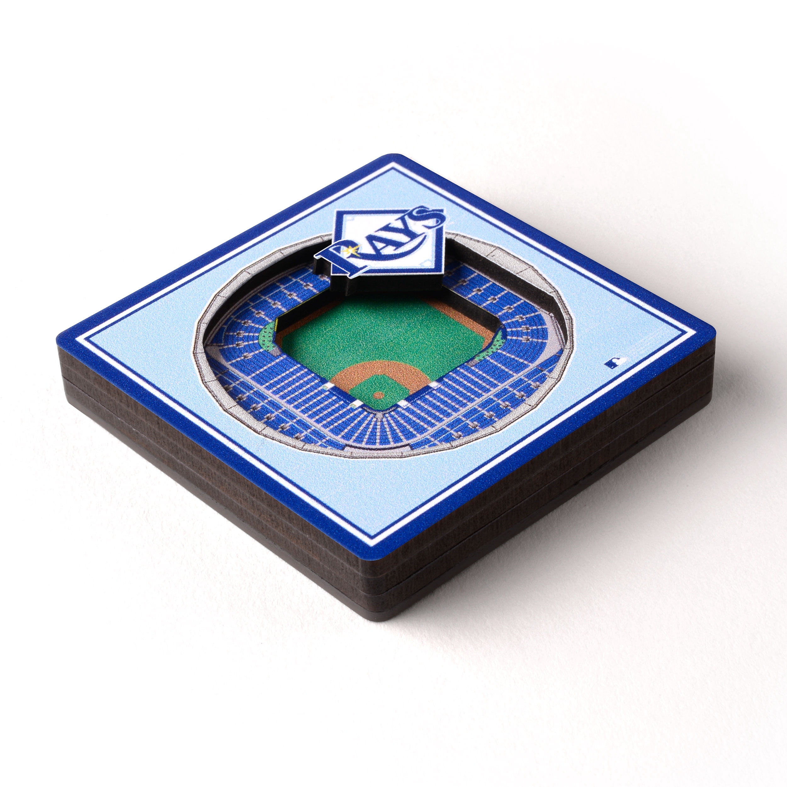 Tampa Bay Rays Stadium View Magnet