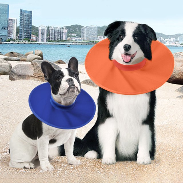 LiMimmuu Collier pour Animaux de Compagnie Doux Séchage Rapide Collier pour Animaux Résistant à l'Eau Collier de Récupération Confortable Col pour Animaux Résistant à l'Eau Séchage Rapide Col Haute Élasticité Collier de Récupération pour Chien Fourniture pour Animaux