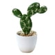 thumbnail image 1 of Planta en maceta artificial de la simulación artificial de los bonsais del cactus de la simulación de la planta tropical, 1 of 5