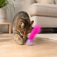 thumbnail image 3 of Vibrant Life Bell and Feather Lattice Ball Cat Toy, 3 of 8