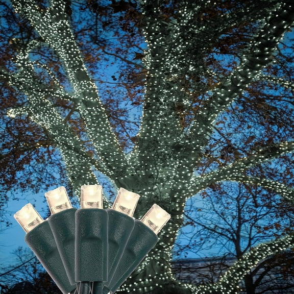 HoliScapes® 4 pack - 5mm - 50 ct - Warm White LED String Lights - 4" spacing - Green wire - 17 ft long