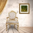 thumbnail image 3 of Prime, Marcus 12x12 Gold Ornate Wood Framed with Double Matting Museum Art Print Titled - Tones On Stones, 3 of 4