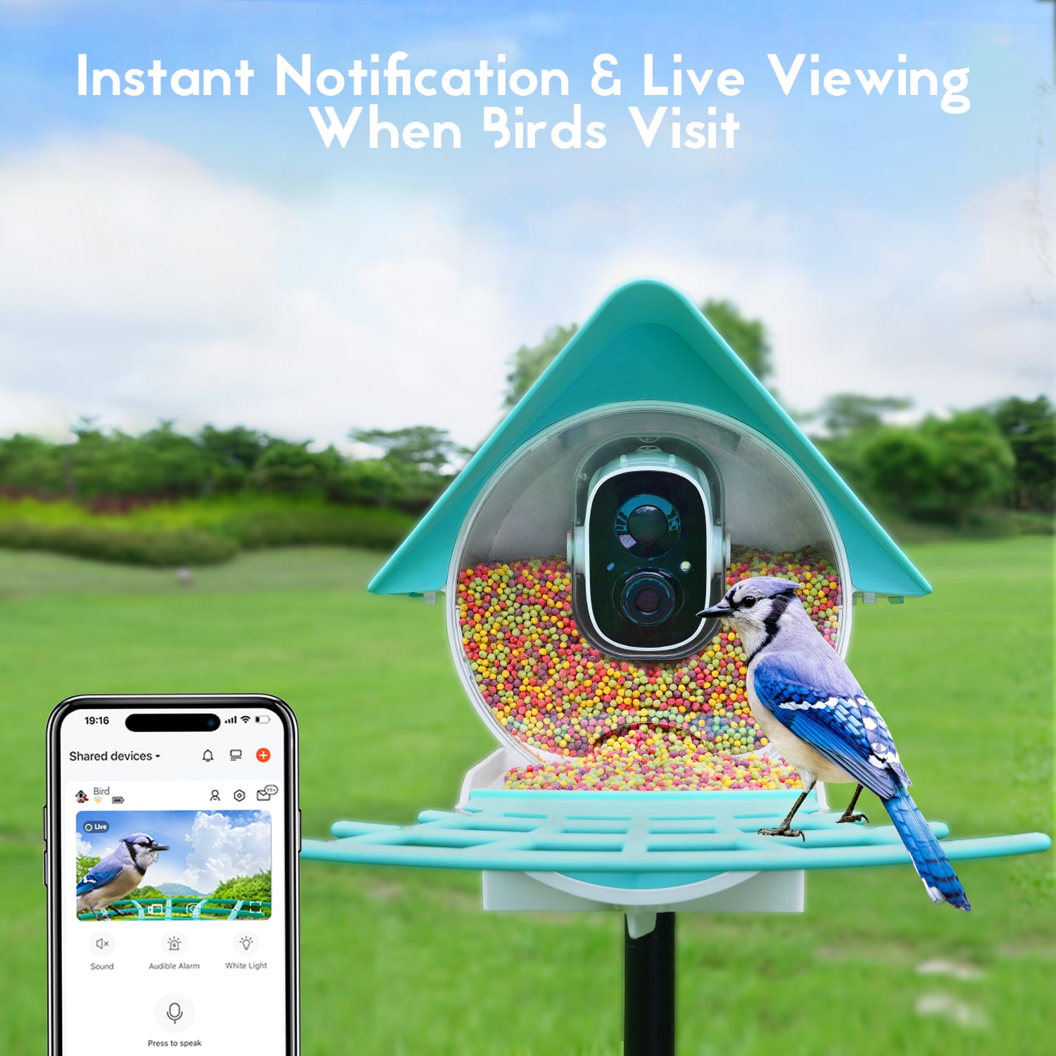 Birdkiss Bird Feeder with Camera, AI Identify Bird, Solar Panel, Built-in Microphone for Bird Watching Lovers