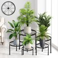 thumbnail image 1 of Metal Plant Stand 5-Pack CADANI Heavy Duty Anti-Rust, 1 of 7
