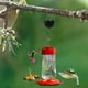 thumbnail image 4 of Para comederos de colibríes | Gancho para alimentador de colibríes Gancho para alimentar colibríes Gancho para alimentador de colibríes Gran capacidad, 4 of 4