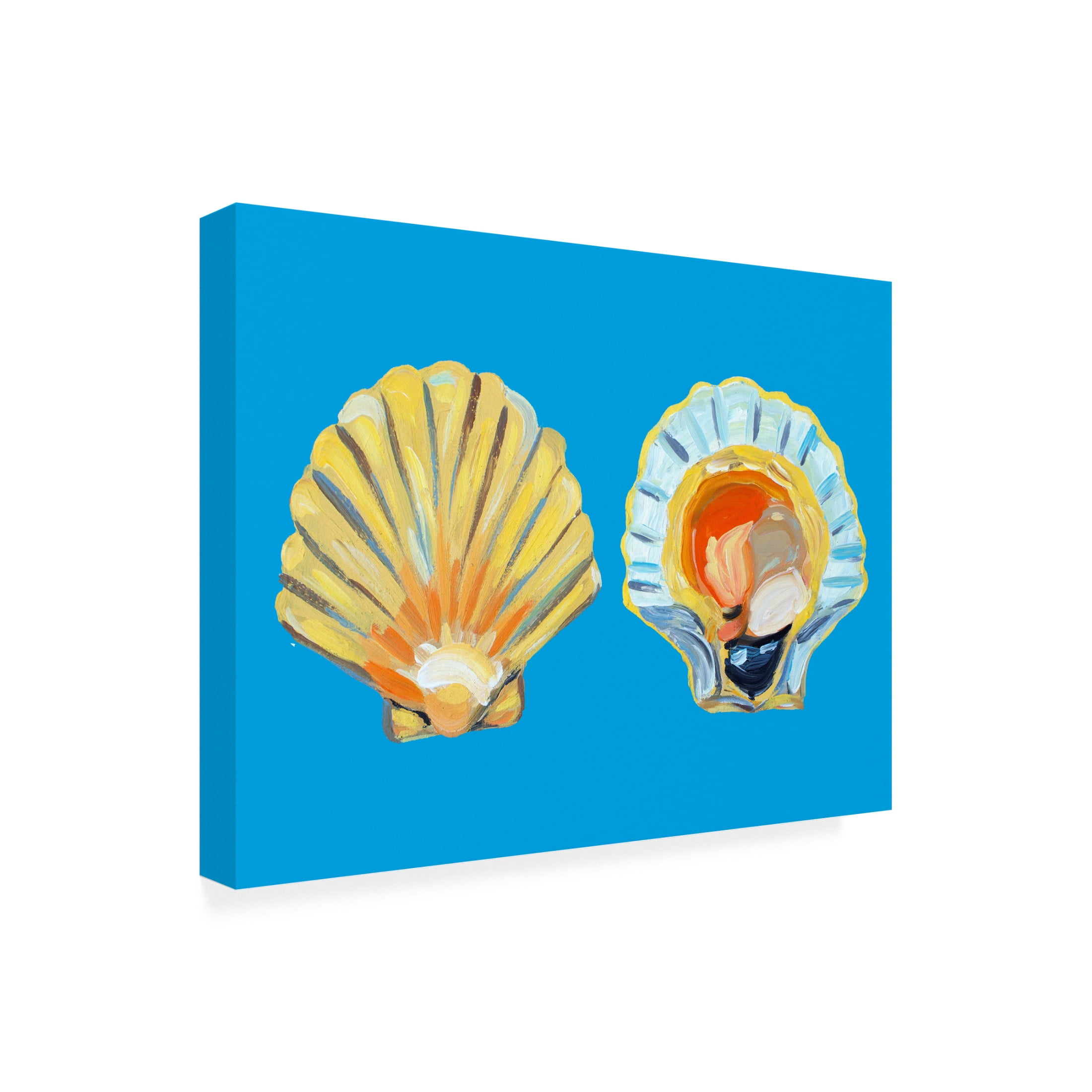 Trademark Fine Art Alice Straker Scallops On Blue Canvas Wall Art