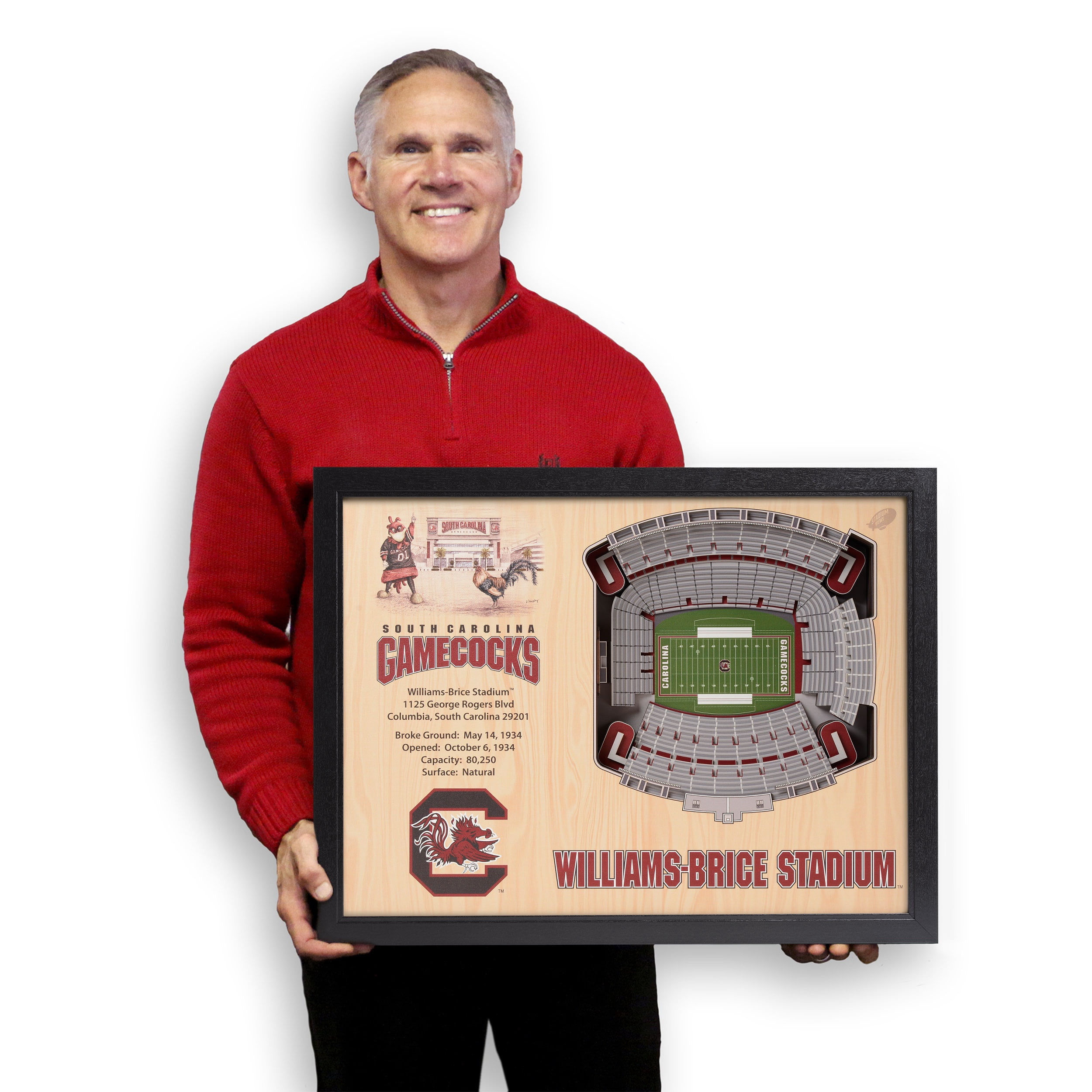 YouTheFan NCAA S Carolina Gamecocks FB 25-Layer Stadiumview Wall Art