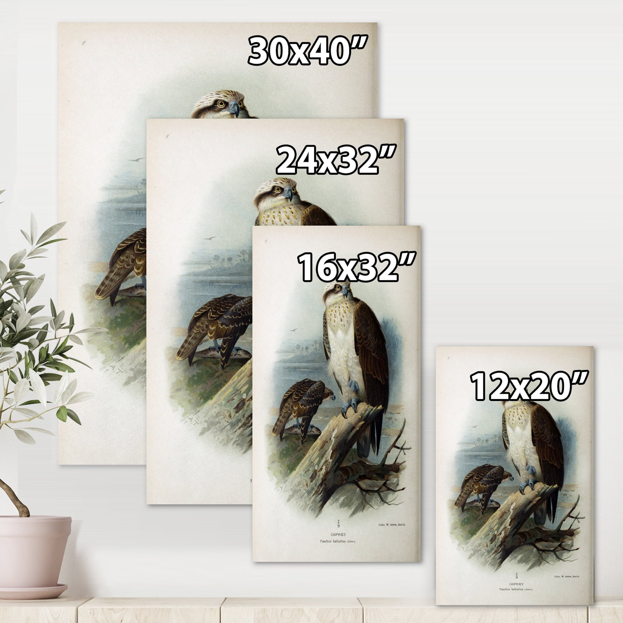 Ancient Bird Life VI 12 in x 8 in Painting Canvas Art Print, by Designart