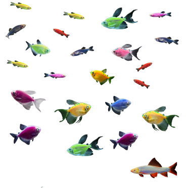 GloFish® 55G Community Mixed Species 29ct Live Fish Assortment