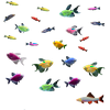 GloFish® 55G Community Mixed Species 29ct Live Fish Assortment
