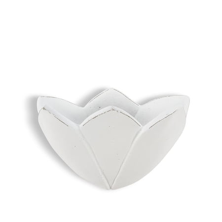 Set of 6 Wide Tulip Wall Planter
