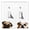 Pug English Bulldog Dog, variant on WIRESTER 2-Gang Toggle Wall Plate/Switch Plate Cover, Animal Skeleton With Burning Cigarette Australian Shepherd Dog
